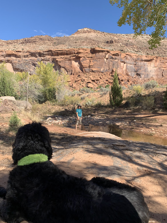 Hiking Little Dominguez Canyon, Colorado