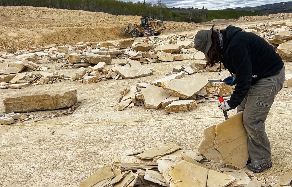 A Guide to Fossil Fishing in Kemmerer, Wyoming