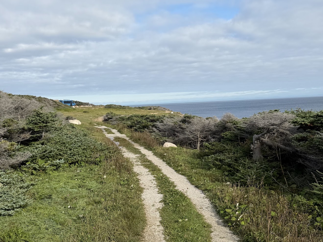 Best Free and Cheap Camping Spots: Our Favorite Year 4